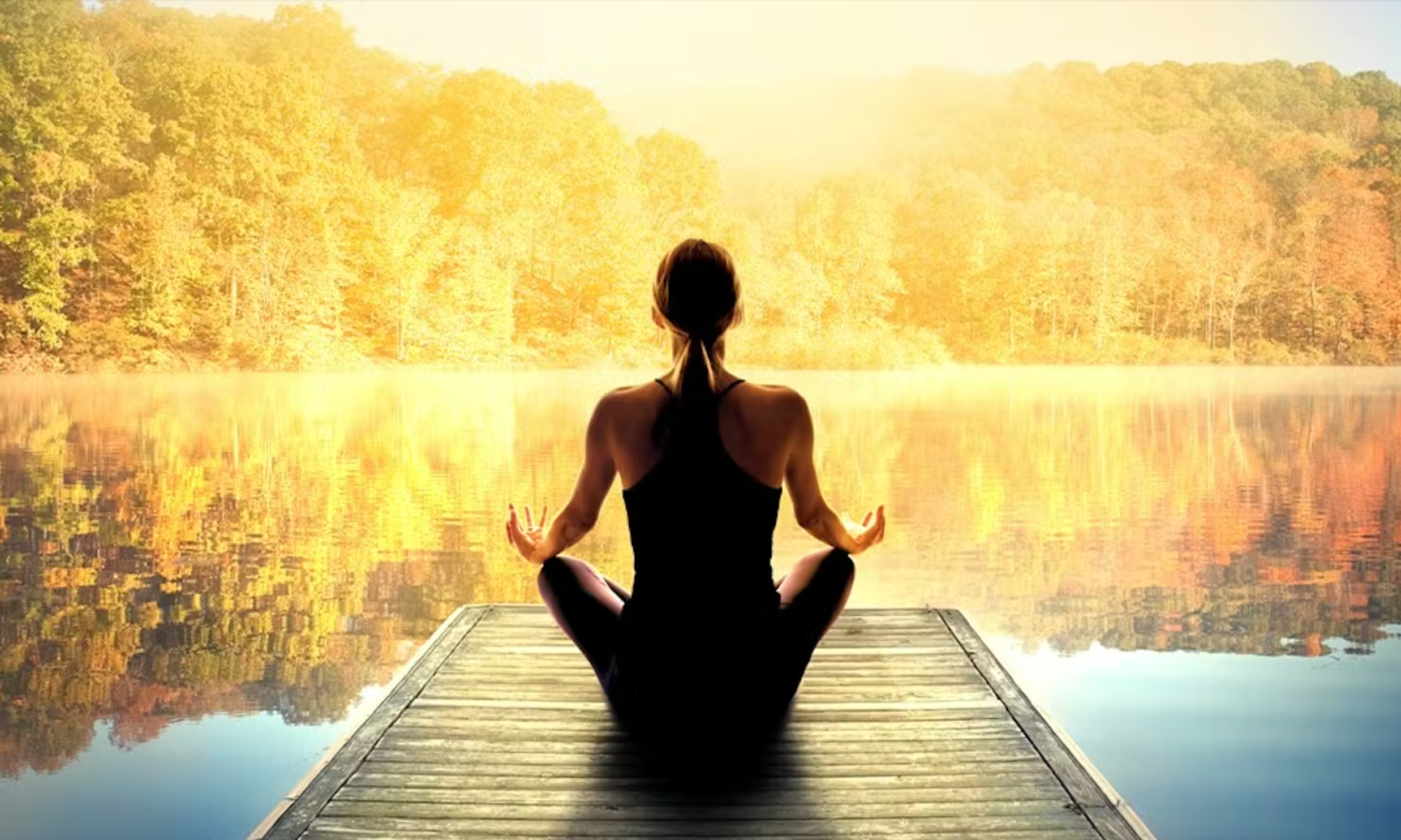 The Breath and Meditative State