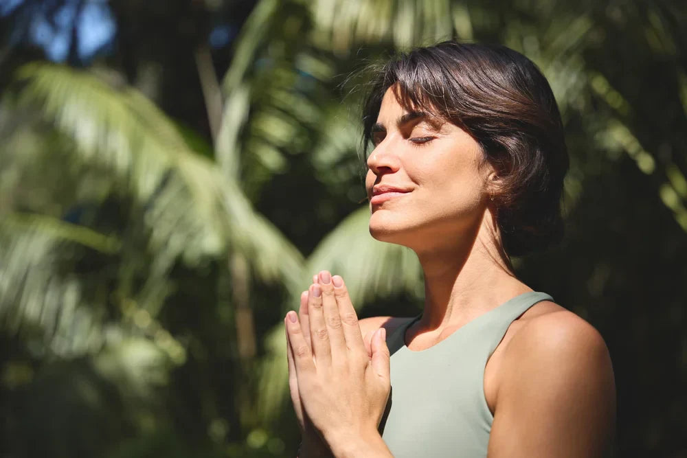 Mindfulness for Busy Professionals