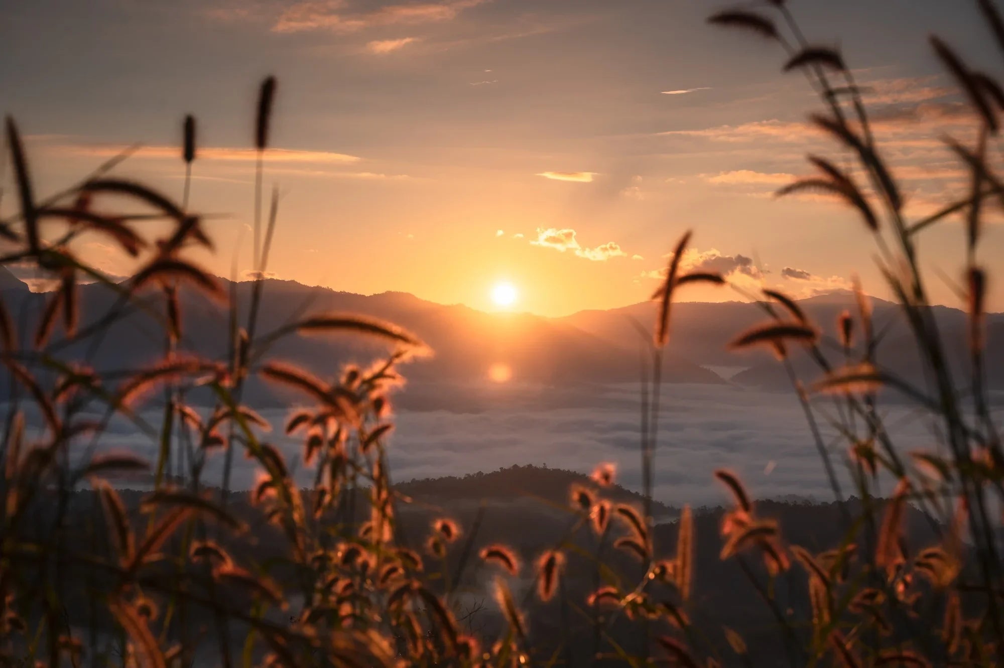 A New Day