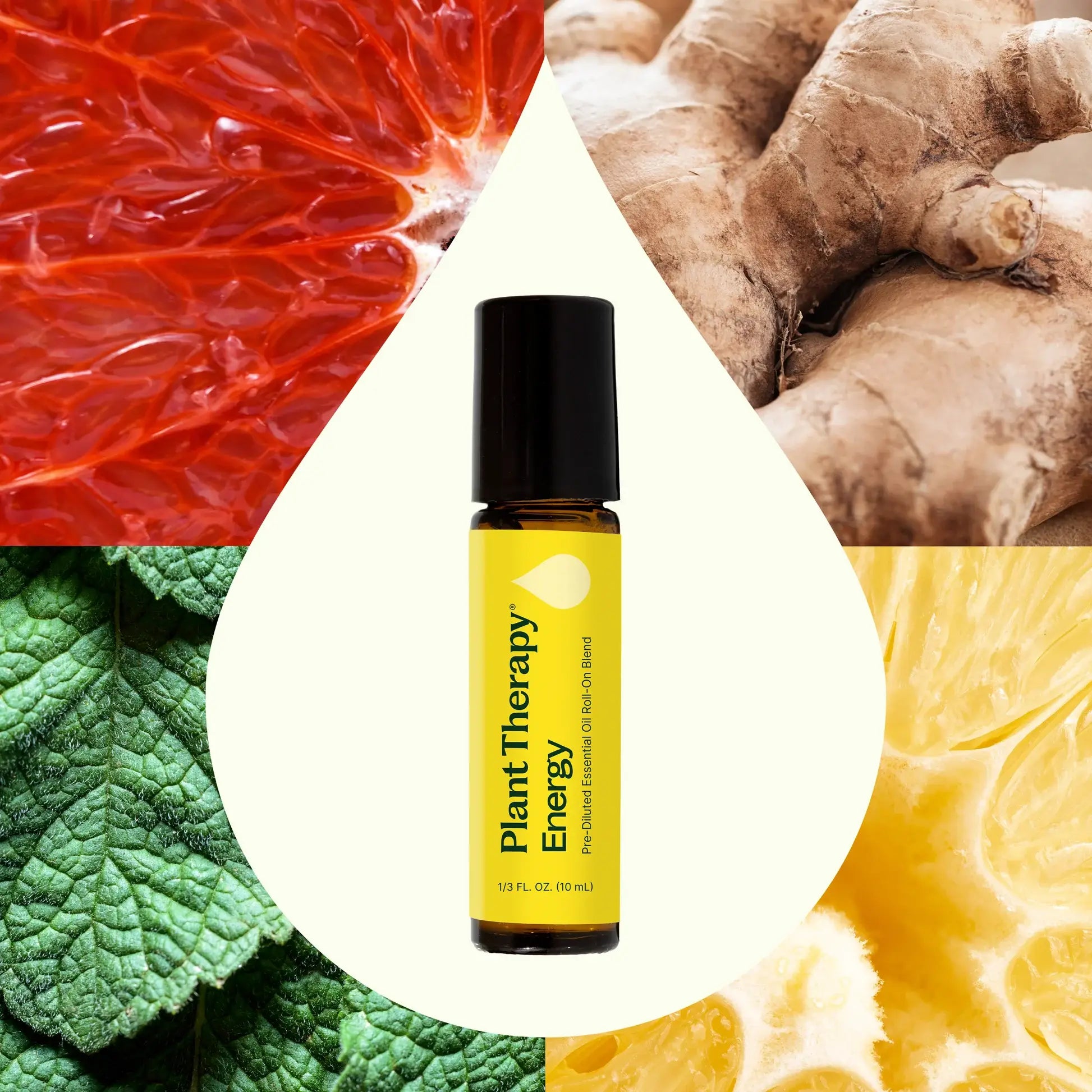 Plant Therapy Energy roller bottle surrounded by natural elements like a lemon, ginger root, and mint leaves - JOY - Journey Of You - Spiritual, Holistic, Empowering