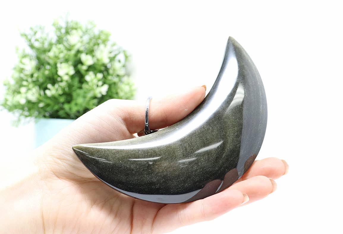 Golden Sheen Obsidian Moon Crescent | Golden Sheen Obsidian