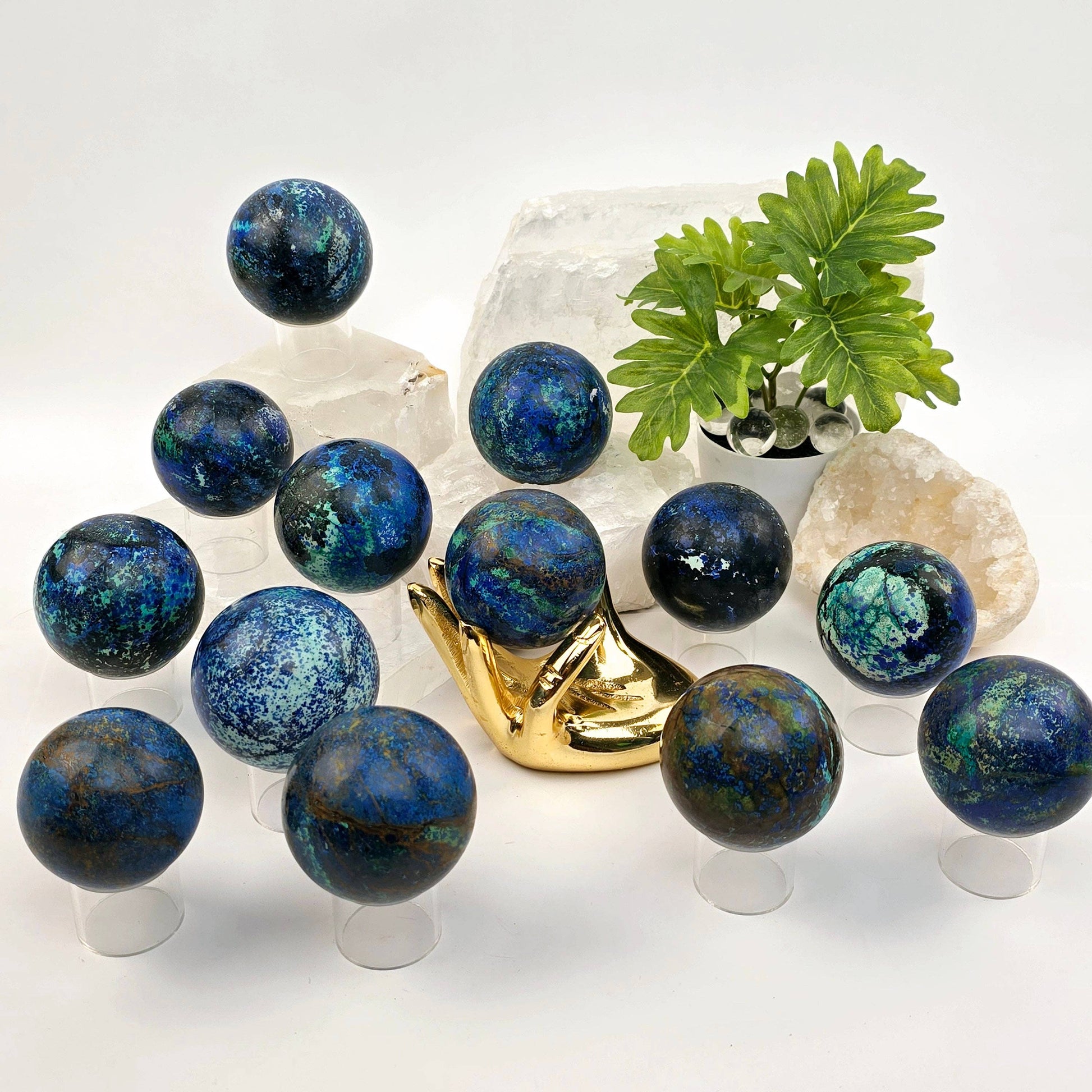 Collection of blue marbles on stands with a plant in the background