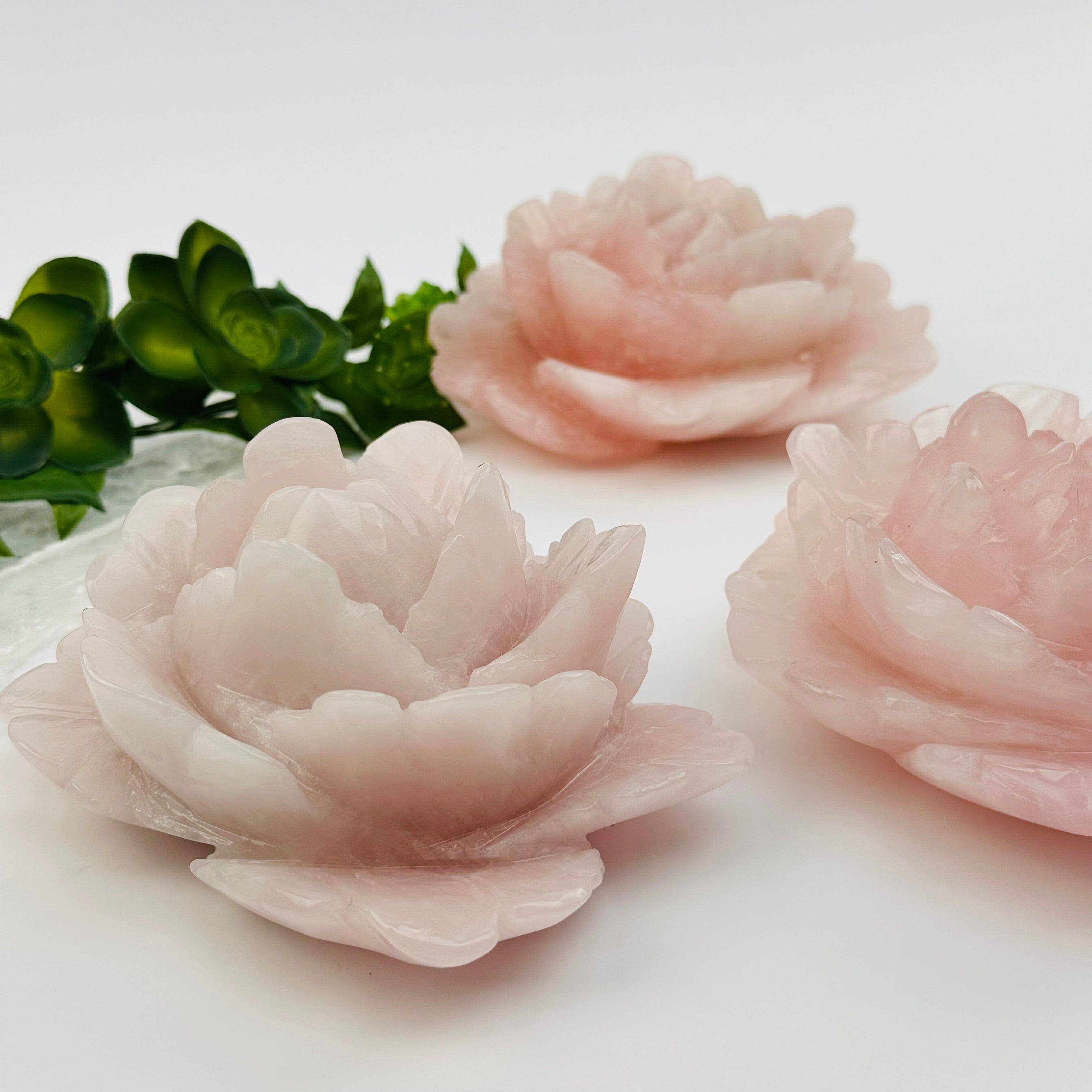 Pink flower-shaped objects on a white surface with green leaves in the background