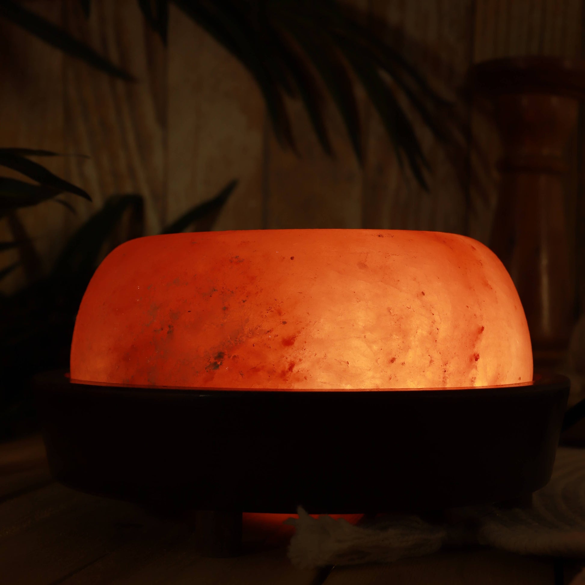 Orange lamp emitting a warm glow in a dimly lit room with plants in the background.