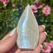 Flashy Moonstone Teardrop Carvings, Multiple Sizes: Palm