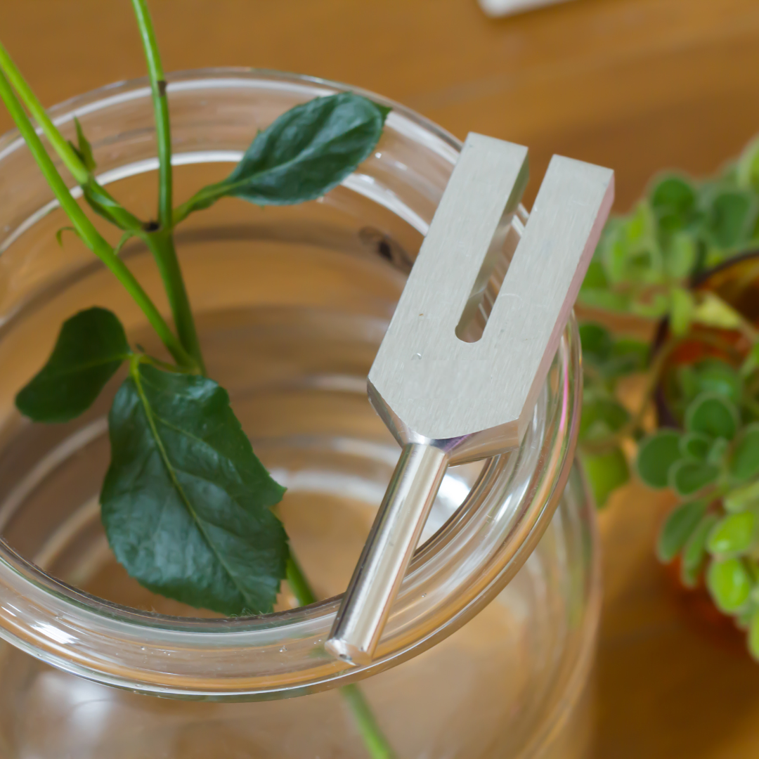 Metallic tool with a plant stem inside a glass container on a wooden surface.