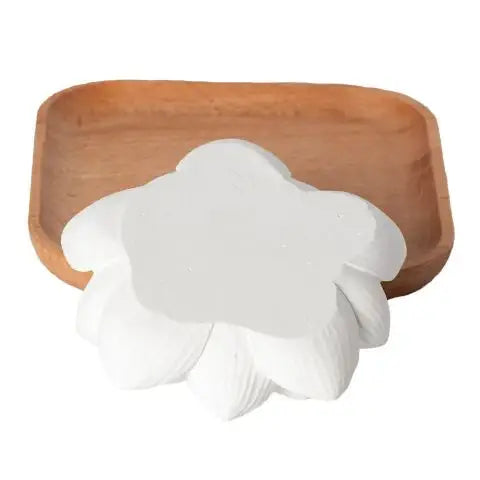Wooden soap dish with white soap on a white background