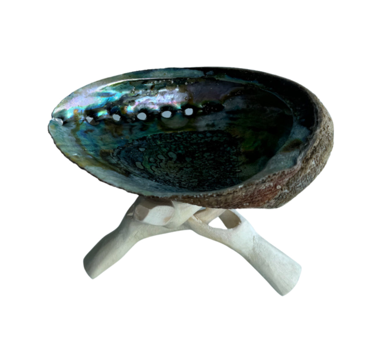 ABALONE SHELL SMUDGING BOWL WITH STAND 5 - 6 INCHES - burning charcoals - beautiful shells - Joy - Journey of You