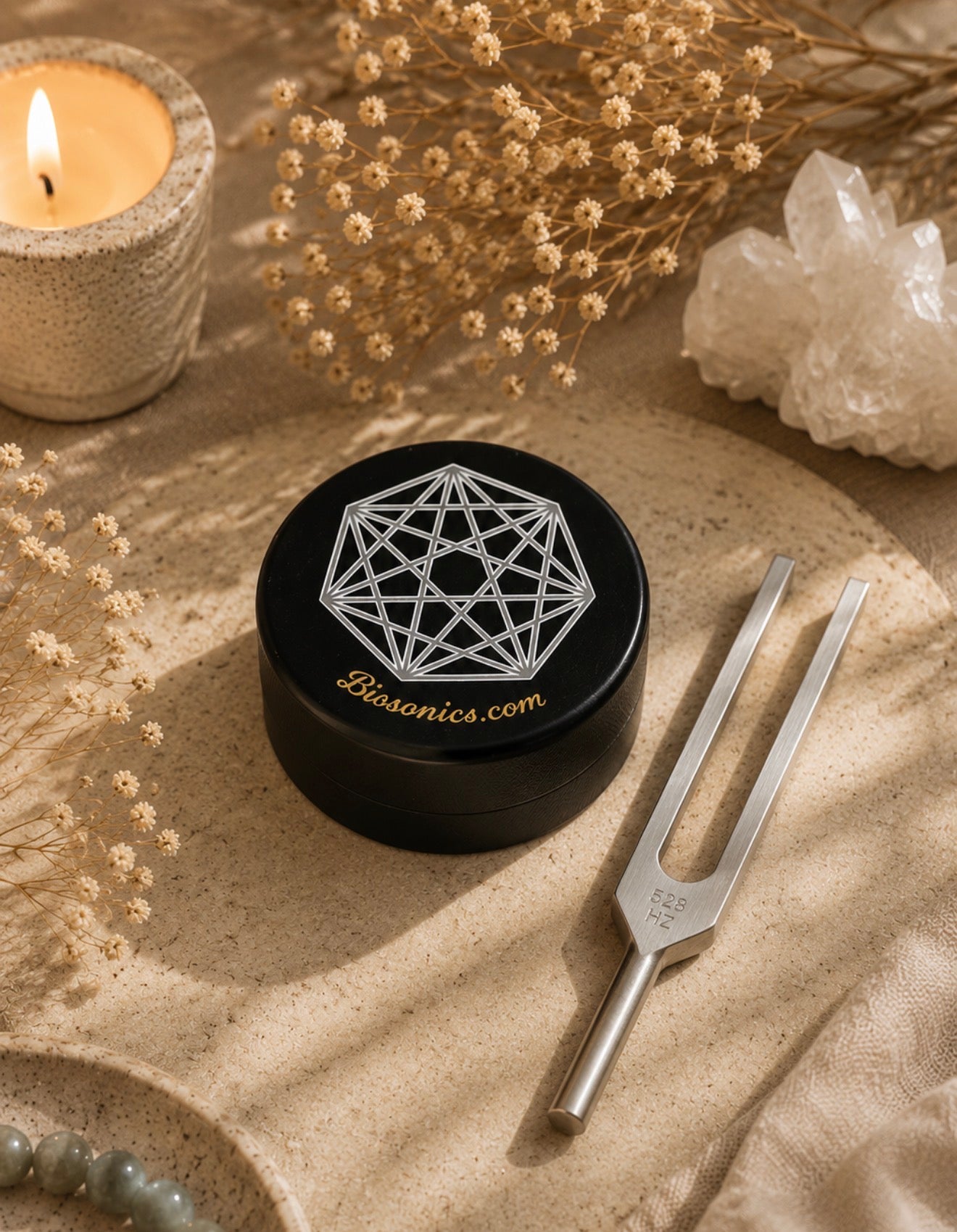 Biosonics Resonance Puck