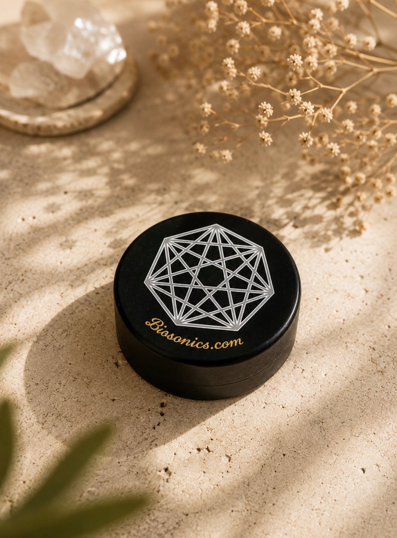 Biosonics Resonance Puck