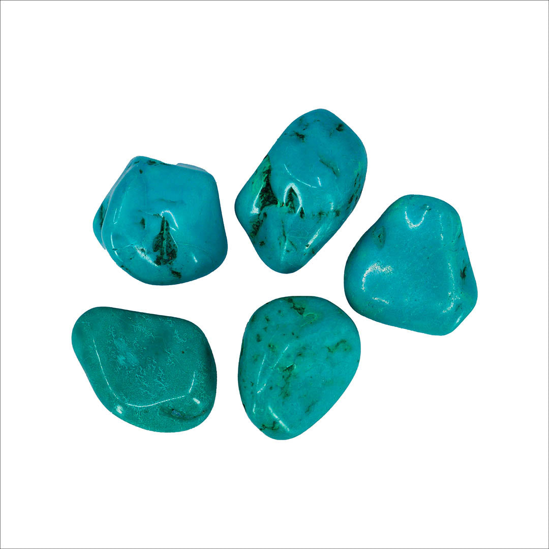 Turquoise Stones - Medium size