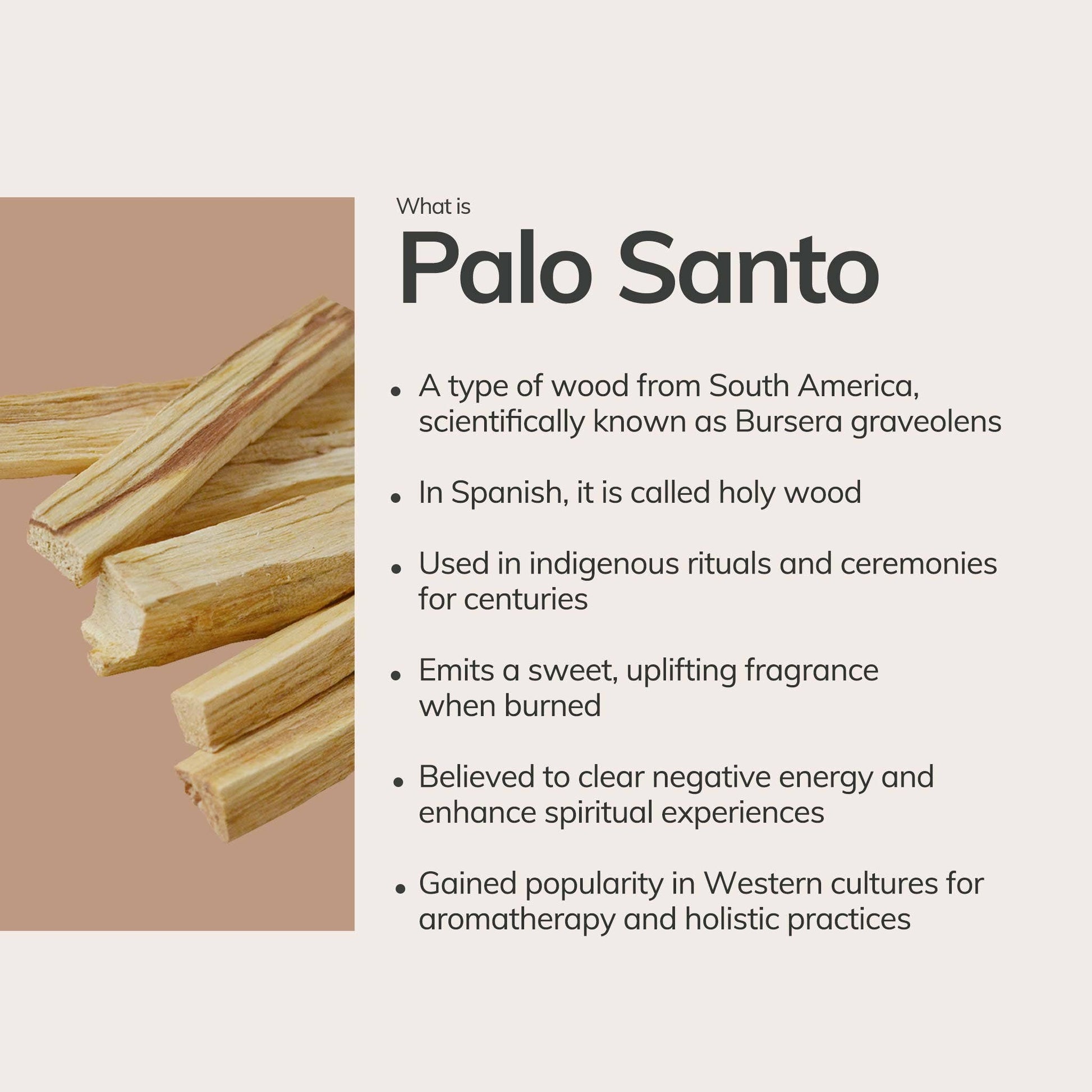 PALO SANTO HAND ROLLED INCENSE STICK - Wild Harvested Palo Santo Incense Sticks - Cleansing & Purifying - Palo Santo - Joy - Journey of you