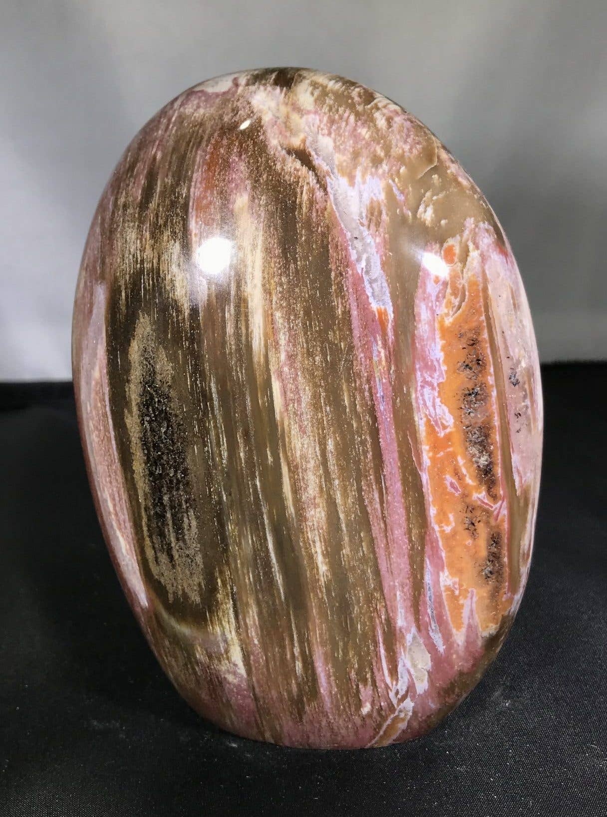 PETRIFIED WOOD FREE FORMS - from Madagascar - spiritual stone - top quality gemstone and mineral products - Joy - Journey of You