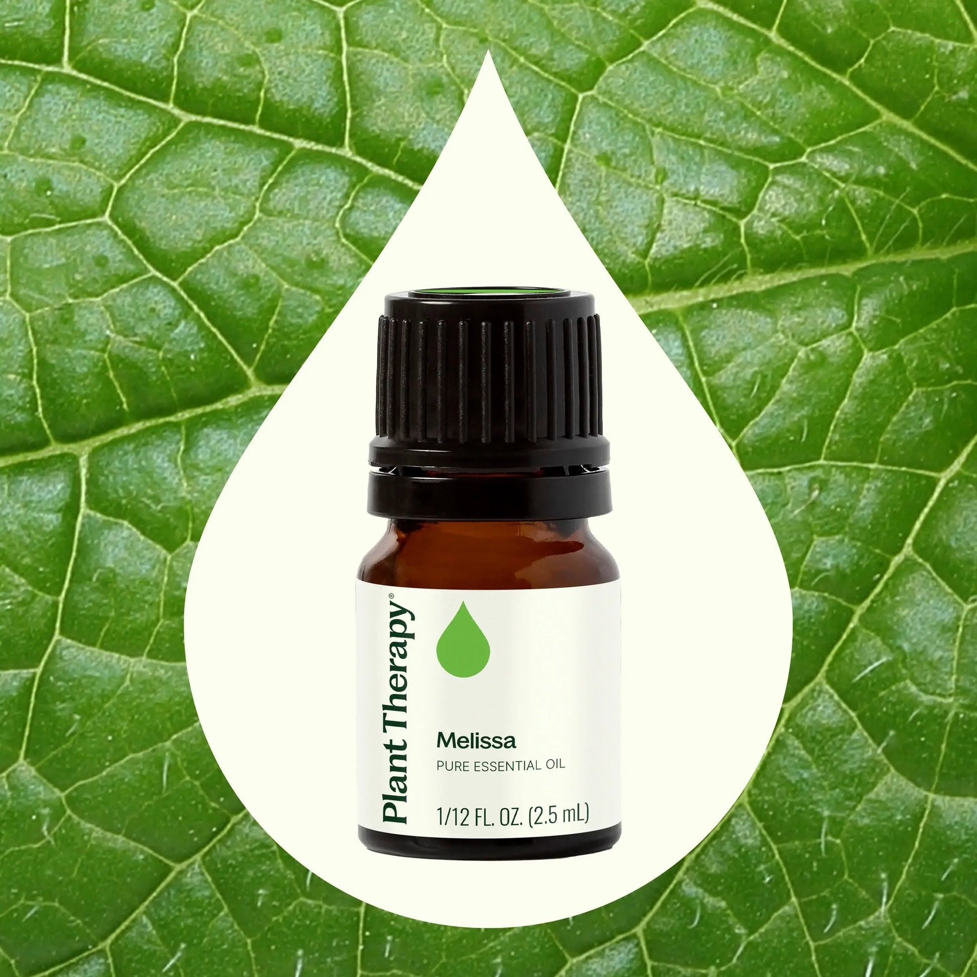 Plant Therapy Melissa essential oil bottle on a green leaf background -JOY - Journey Of You - Spiritual, Holistic, Empowering