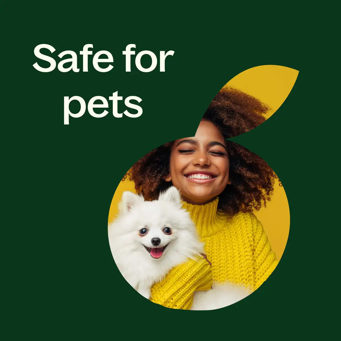 Woman holding a white dog with text 'Safe for pets' on a green background - JOY - Journey Of You - Spiritual, Holistic, Empowering