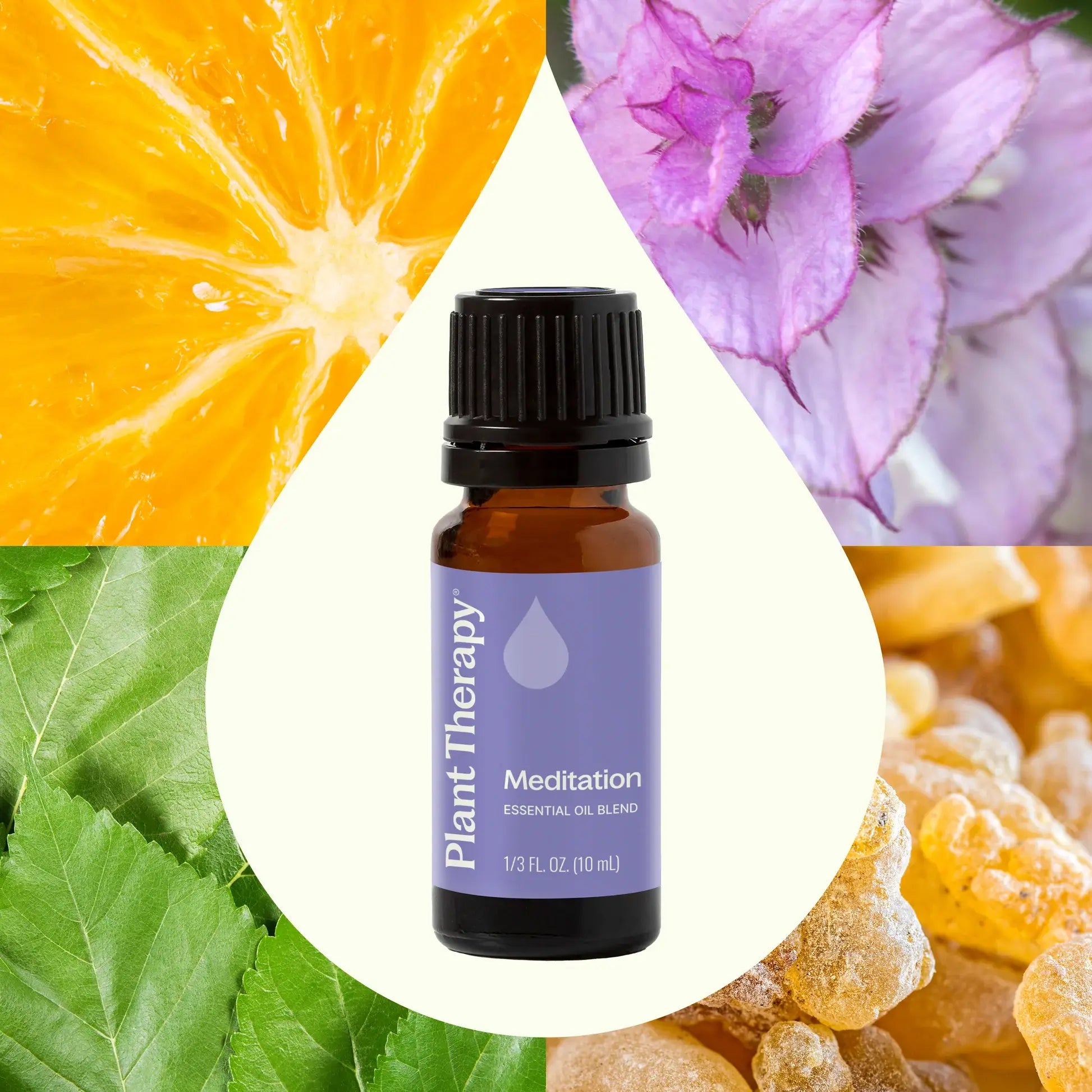 Essential oil bottle labeled 'Plant Therapy Meditation' surrounded by nature-themed elements like an orange, flowers, and leaves - JOY - Journey Of You - Spiritual, Holistic, Empowering