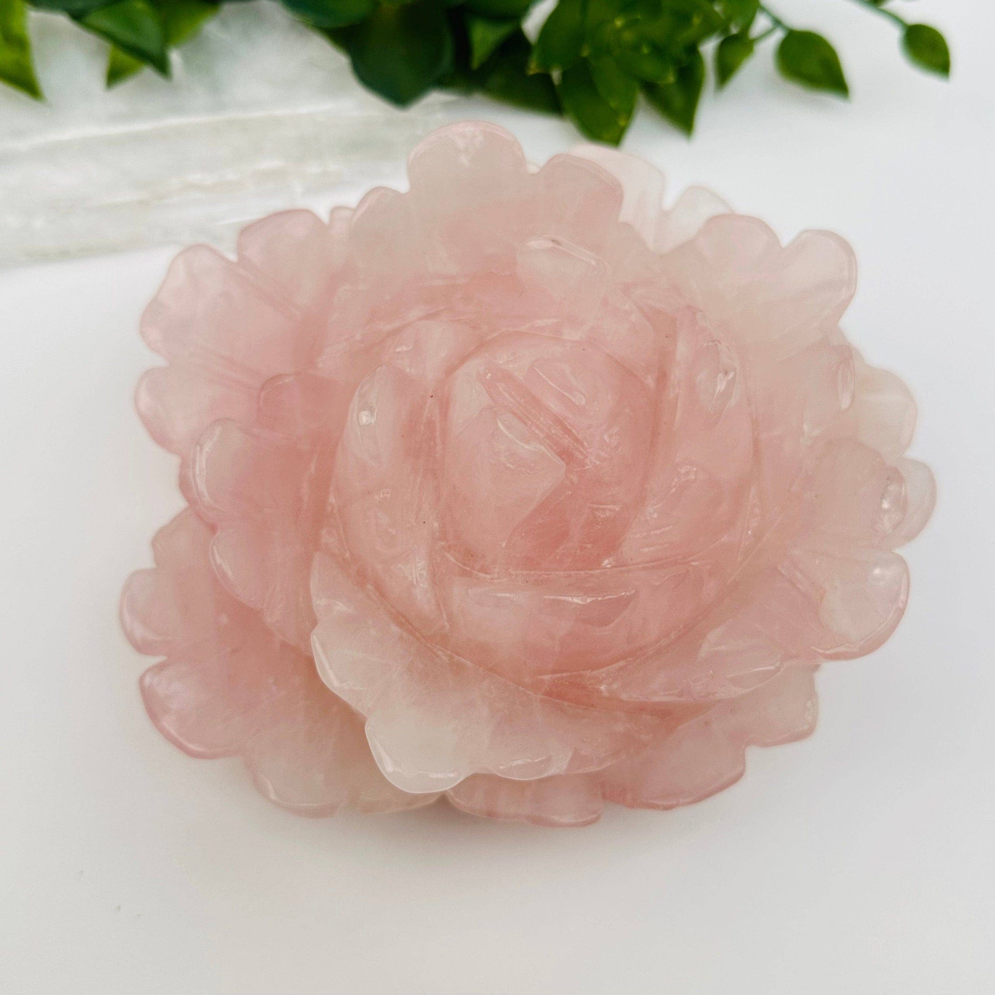 Pink rose-shaped soap on a white background with green leaves.