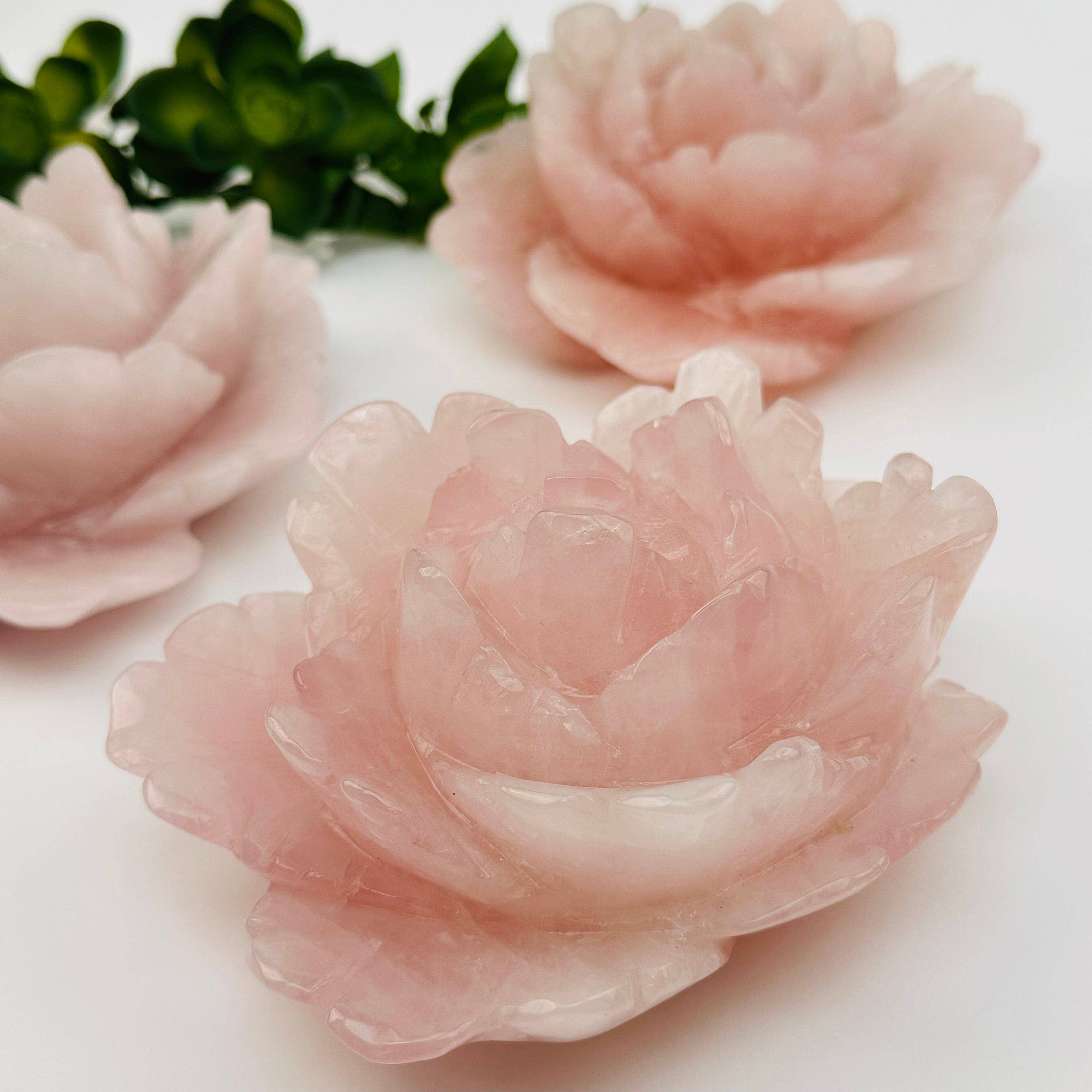 Pink rose-shaped objects on a white background