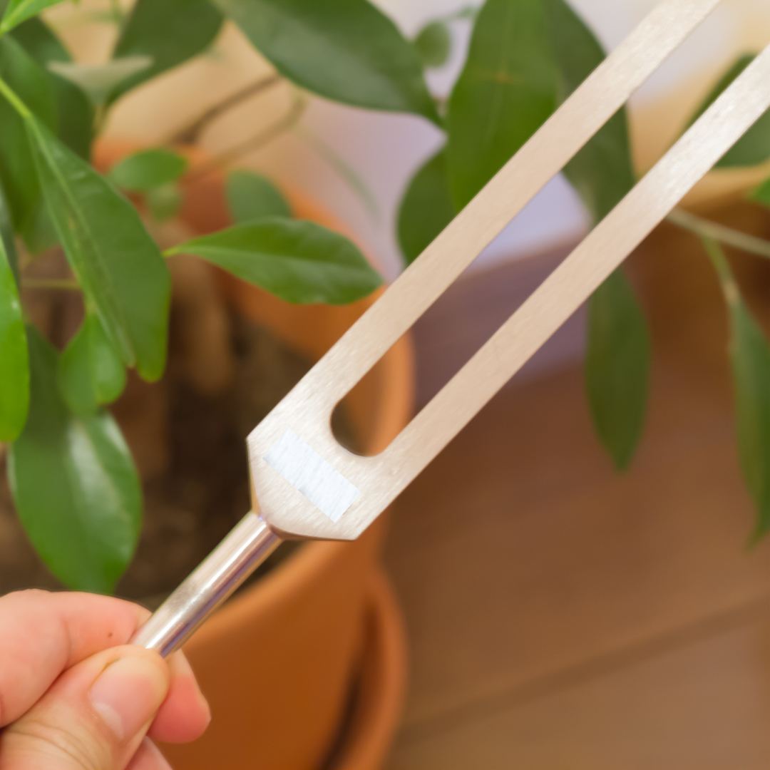 Hand holding a tuning fork with potted plants in the background