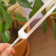 Hand holding a tuning fork with potted plants in the background