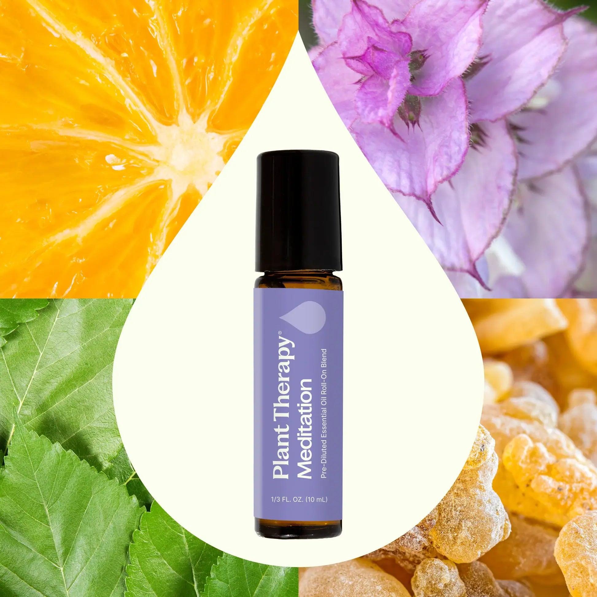 Plant Therapy Meditation essential oil bottle surrounded by orange slices, purple flowers, and green leaves -JOY - Journey Of You - Spiritual, Holistic, Empowering