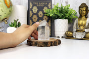 Person holding a crystal on a wooden stand with a Buddha statue, plants, and books in the background.