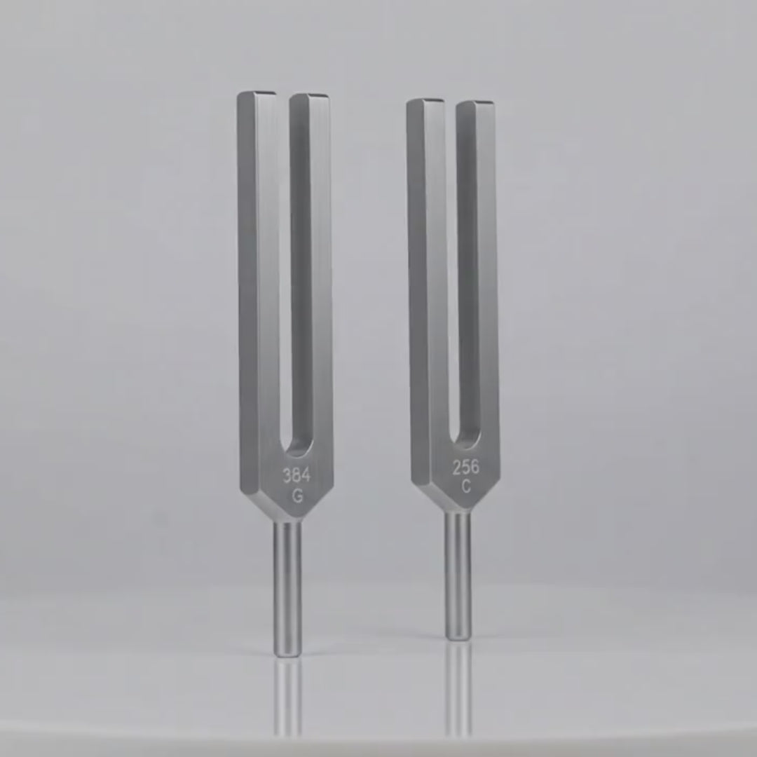Load video: Biosonic Body Tuners – “C256 &amp; G384”