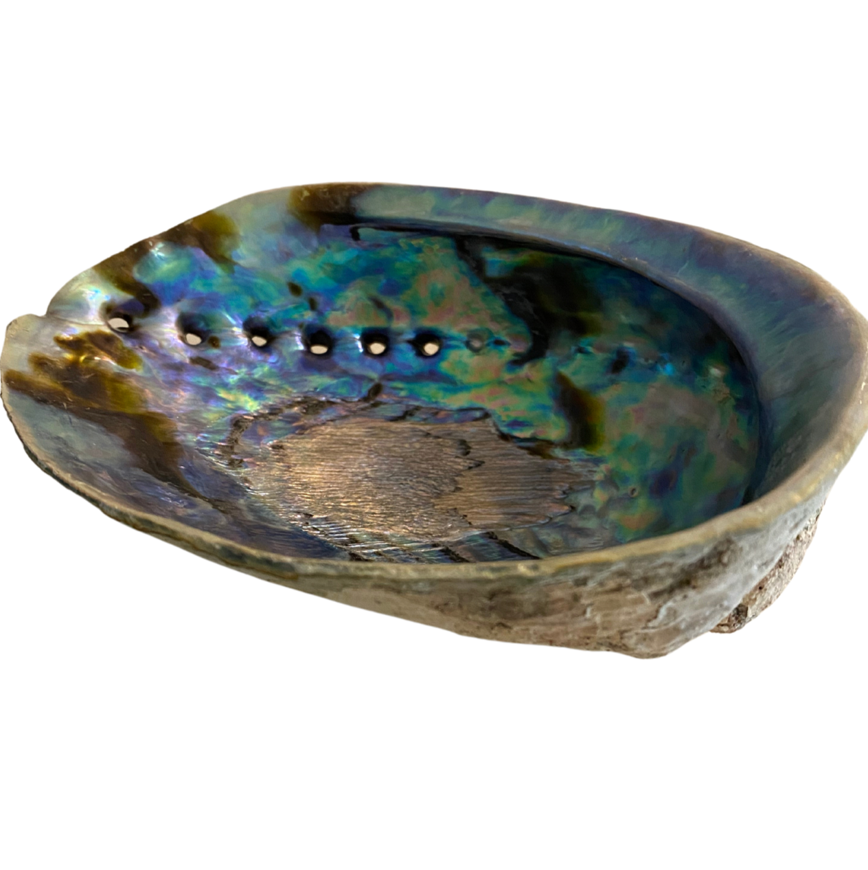 ABALONE SHELL SMUDGING BOWL WITH STAND 5 - 6 INCHES - burning charcoals - beautiful shells - Joy - Journey of You