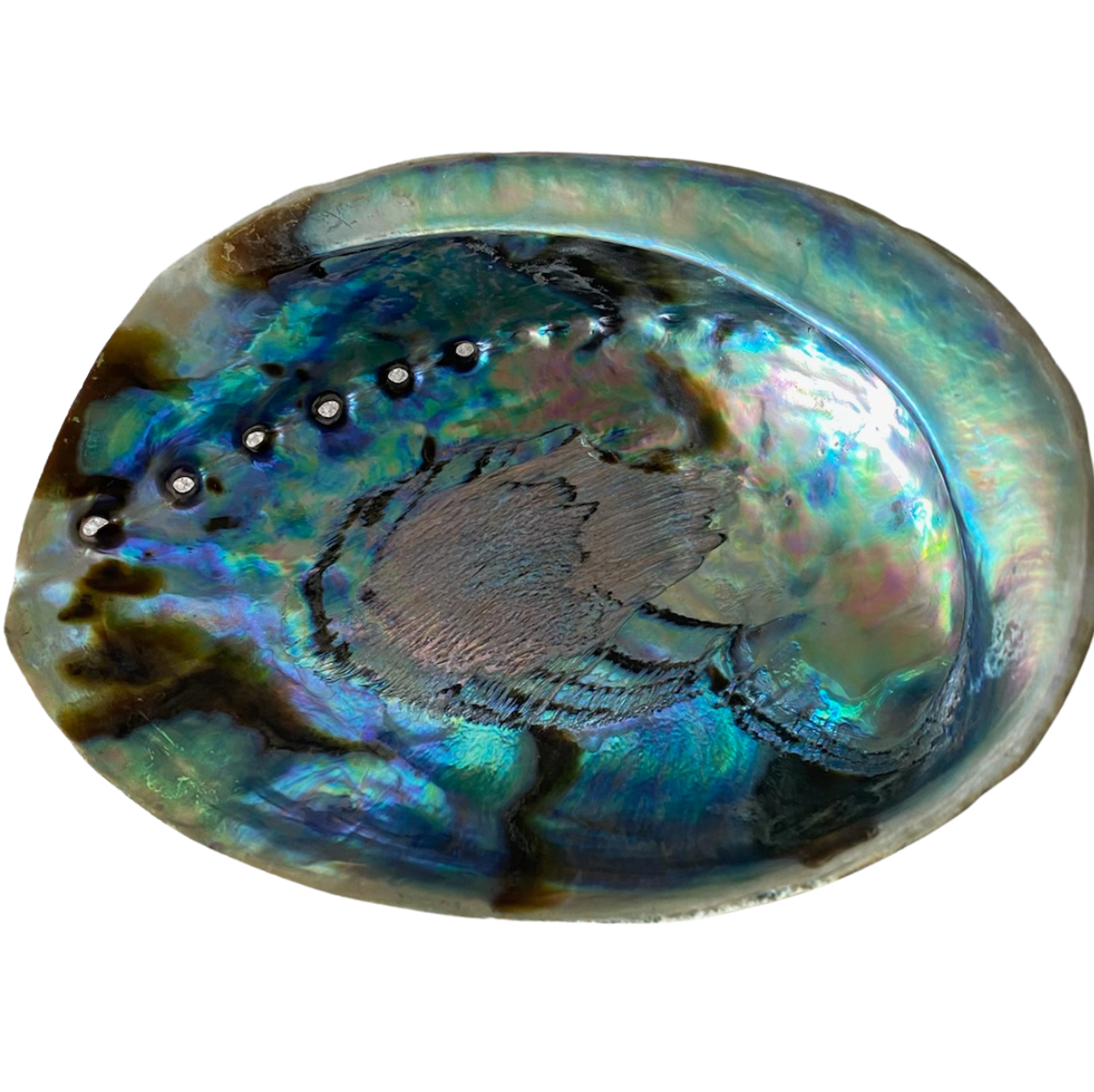 ABALONE SHELL SMUDGING BOWL WITH STAND 5 - 6 INCHES - burning charcoals - beautiful shells - Joy - Journey of You