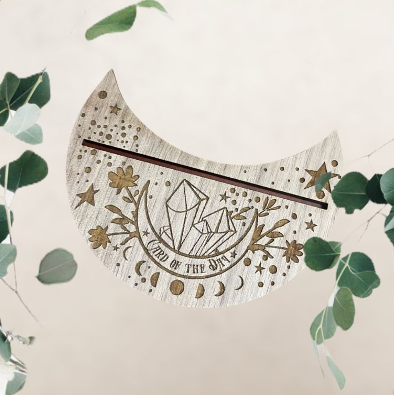 Daily Tarot or Oracle Cardholder